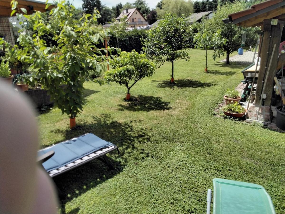 Fewo Jehle Rust Süd Exterior foto