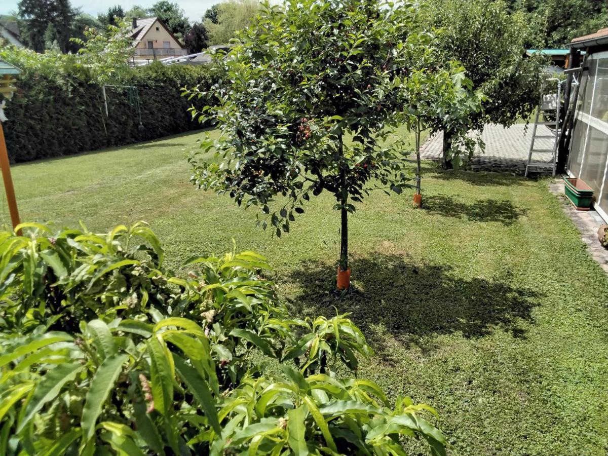 Fewo Jehle Rust Süd Exterior foto